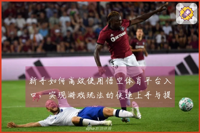 新手如何高效使用悟空体育平台入口，实现游戏玩法的快速上手与提升